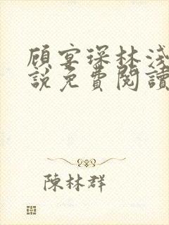 顾宴琛林浅月小说免费阅读最新章节