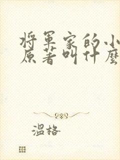 将军家的小娘子原著叫什么