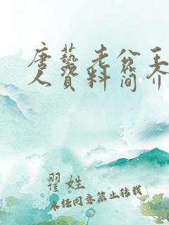 唐艺老公王新个人资料简介