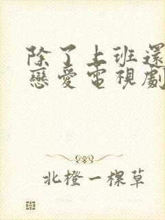 除了上班还可以恋爱电视剧免费观看