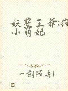 妖孽王爷:独宠小萌妃