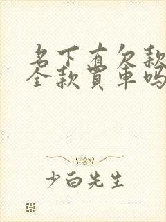 名下有欠款可以全款买车吗