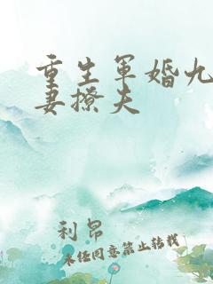 重生军婚九零辣妻撩夫
