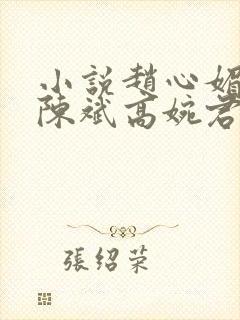 小说赵心媚主角陈斌高婉君