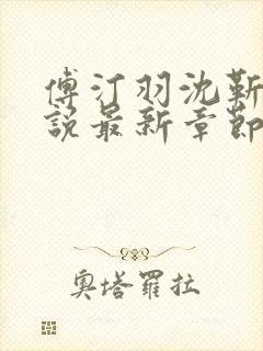 傅汀羽沈靳野小说最新章节更新内容