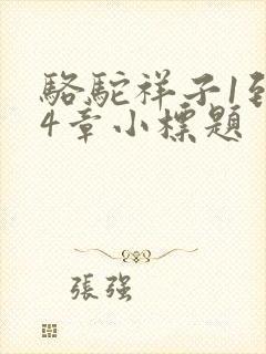 骆驼祥子1到24章小标题