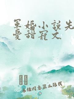 军婚小说先婚后爱甜宠文