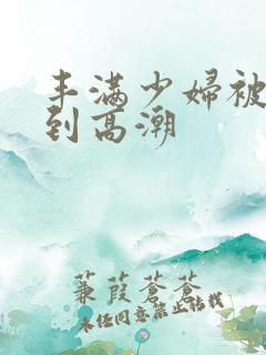 丰满少妇被躁爽到高潮