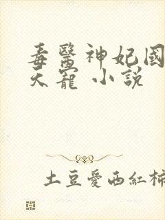 毒医神妃国师逆天宠 小说