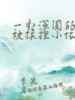 一对浑圆的胸乳被揉捏小依