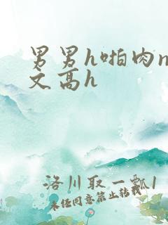 男男h啪肉np文高h