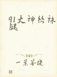 91大神丝袜美腿