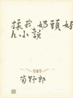 揉我奶头好爽嗯h小说