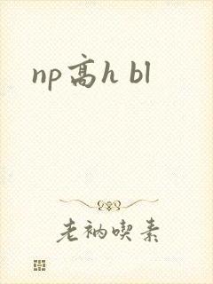 np高h bl