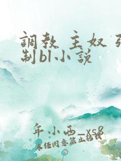 调教 主奴 强制bl小说