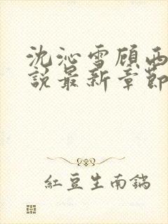 沈沁雪顾西朝小说最新章节免费阅读