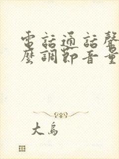 电话通话声音怎么调节音量