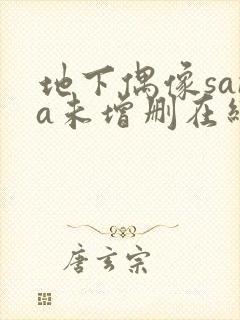 地下偶像sana未增删在线观看