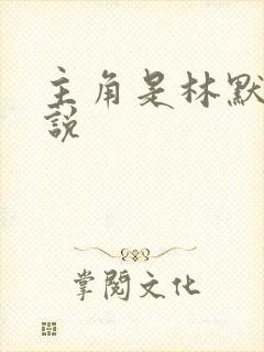 主角是林默的小说