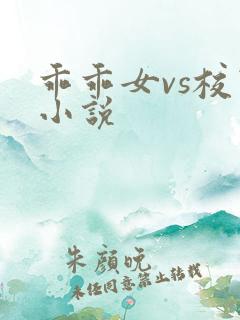 乖乖女vs校霸小说