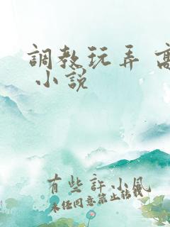 调教玩弄 高潮 小说