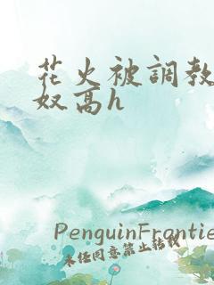 花火被调教成肉奴高h