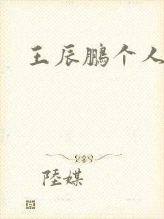 王辰鹏个人简介