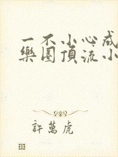 一不小心成了娱乐圈顶流小说在线阅读