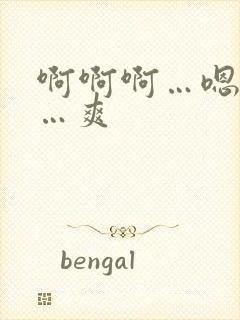 啊啊啊…嗯嗯嗯…爽