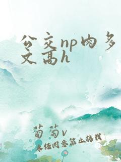 公交np肉多荤文高h