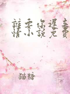 谁要你迟来的深情小说免费阅读