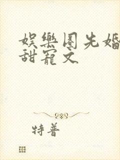 娱乐圈先婚后爱甜宠文