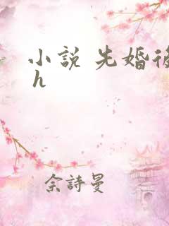 小说 先婚后爱 h