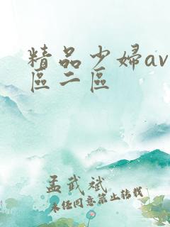 精品少妇av一区二区