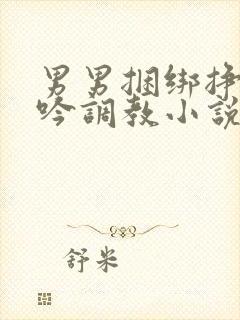 男男捆绑挣扎呻吟调教小说