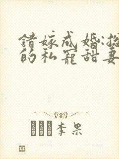 错嫁成婚:总裁的私宠甜妻