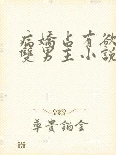 病娇占有欲强的双男主小说