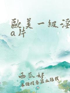 欧美一级淫aaa片