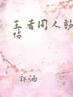 王者同人动画网站