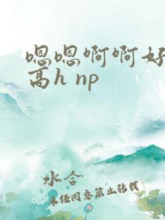 嗯嗯啊啊好爽 高h np