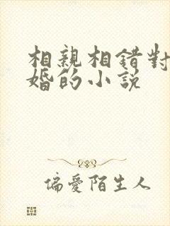 相亲相错对象闪婚的小说