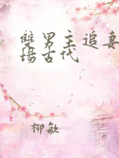 双男主追妻火葬场古代