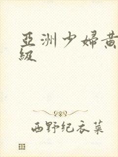 亚洲少妇黄色一级