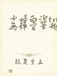 少妇白洁txt无弹窗笔趣阁