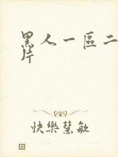 黑人一区二区毛片