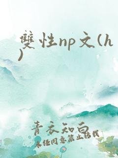 双性np文(h)