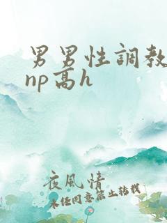 男男性调教小说np高h