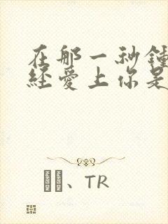 在那一秒钟我已经爱上你是什么歌