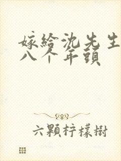 嫁给沈先生的第八个年头