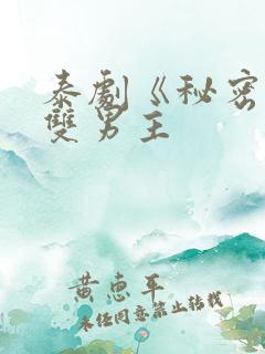 泰剧《秘密爱》双男主